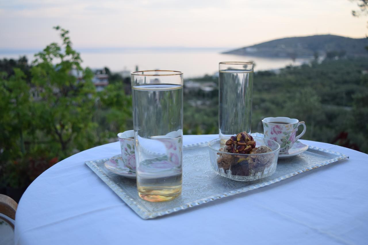 Belvedere Adriatica Κηπαρό Εξωτερικό φωτογραφία