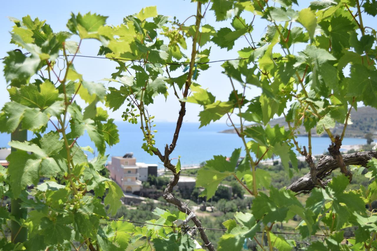 Belvedere Adriatica Κηπαρό Εξωτερικό φωτογραφία